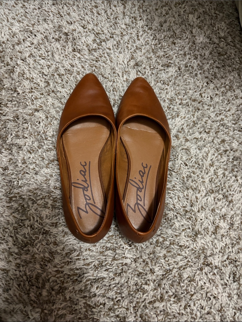 Zodiac Pointed Toe Flats in Cognac Brown
